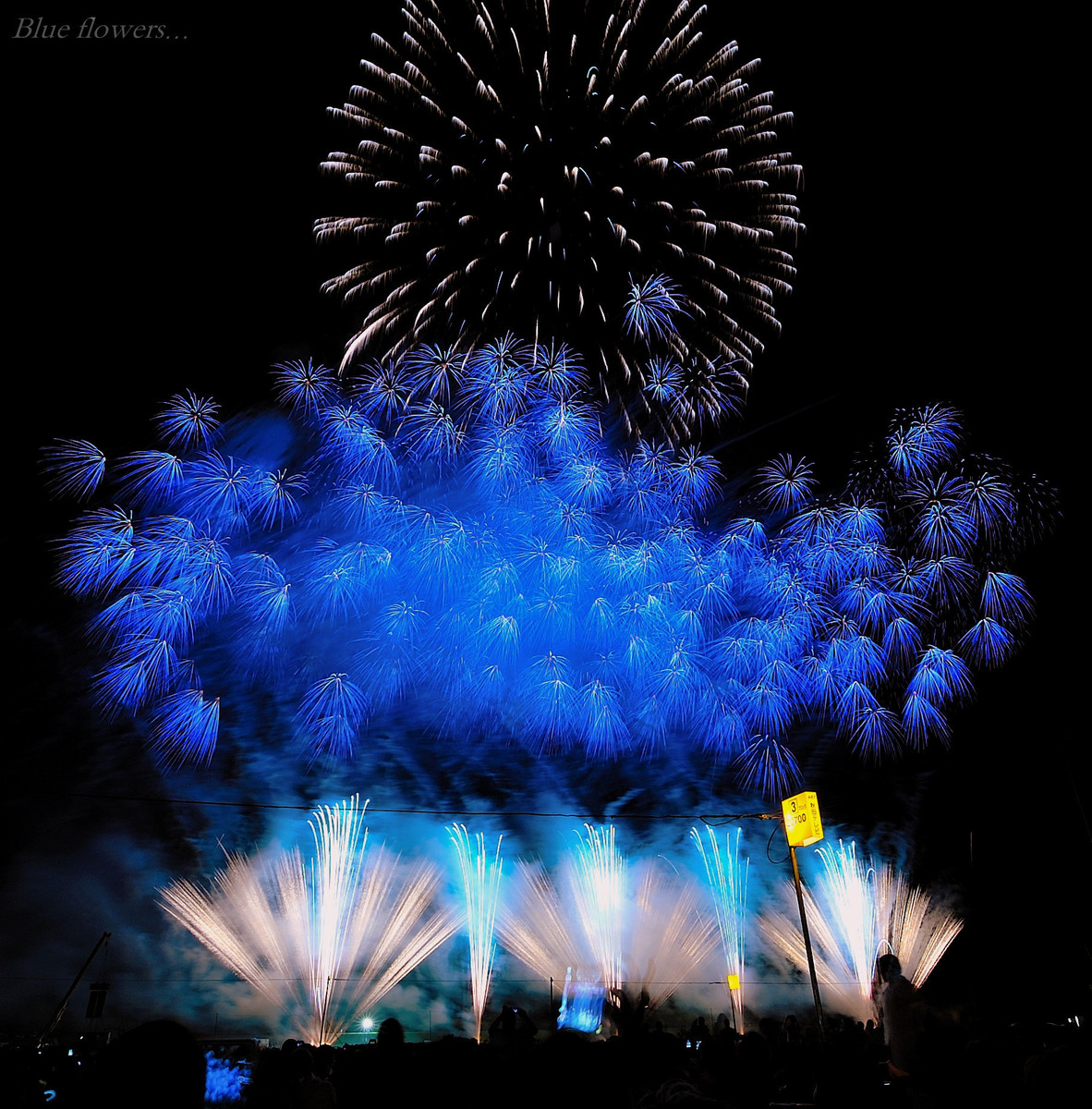 彩時記 夏写真集 Summer Photo Gallery 15