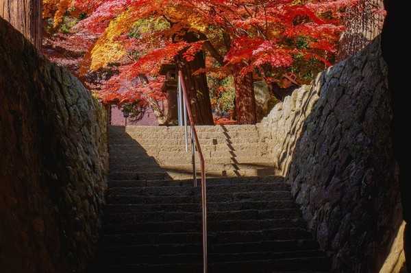 Timeline 2a86e4b406df089193a3654e0ff7d97c@2x