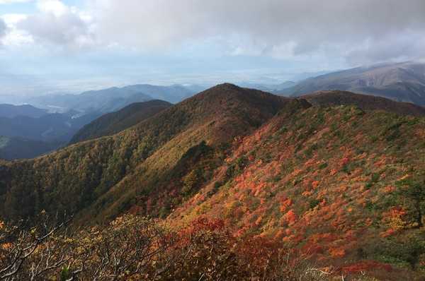彩時記 リジョンソン