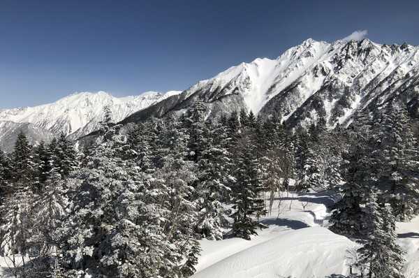 Timeline 4cb695d41014d235277b0bcccbec5e76@2x