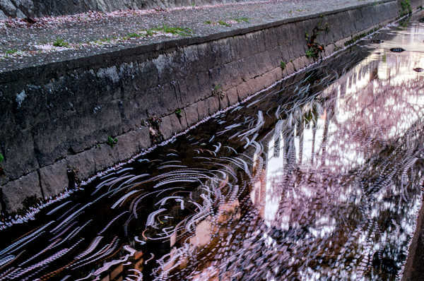 Timeline 5f594fe2f65f0dbd308f036067c5edf8@2x