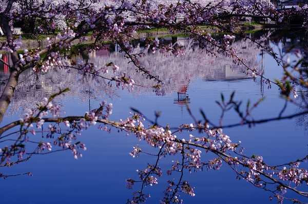 Timeline 910d78158ffd4ac414b83d717cf26428@2x