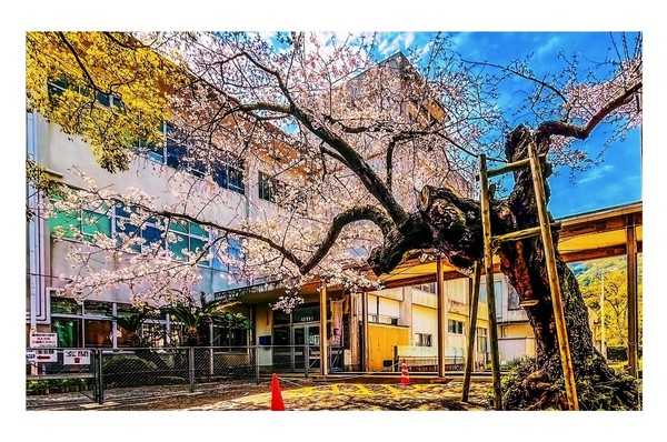 Timeline bcb0db469aeffb5a465fc4f580c0b04a@2x