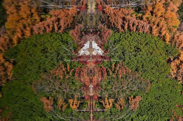 Timeline ca67b52633631c72c6e6823f722a7662@2x