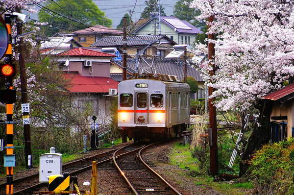 Timeline e1b67c0558ac73e239b66d664f59017d@2x