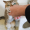 ユーザーアイコン